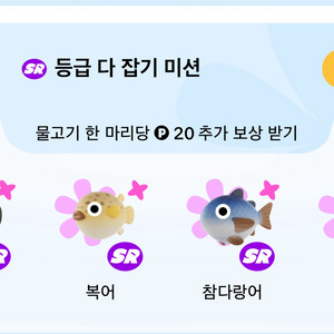 틱톡 라이트 물고기 낚시 복어 참다랑어 판골린