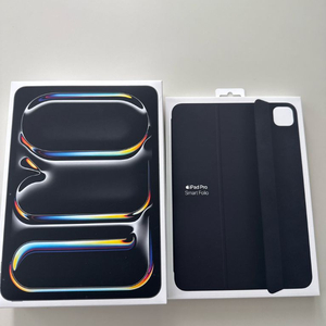 아이패드프로11(M4) Wi-Fi256GB+애플케이스