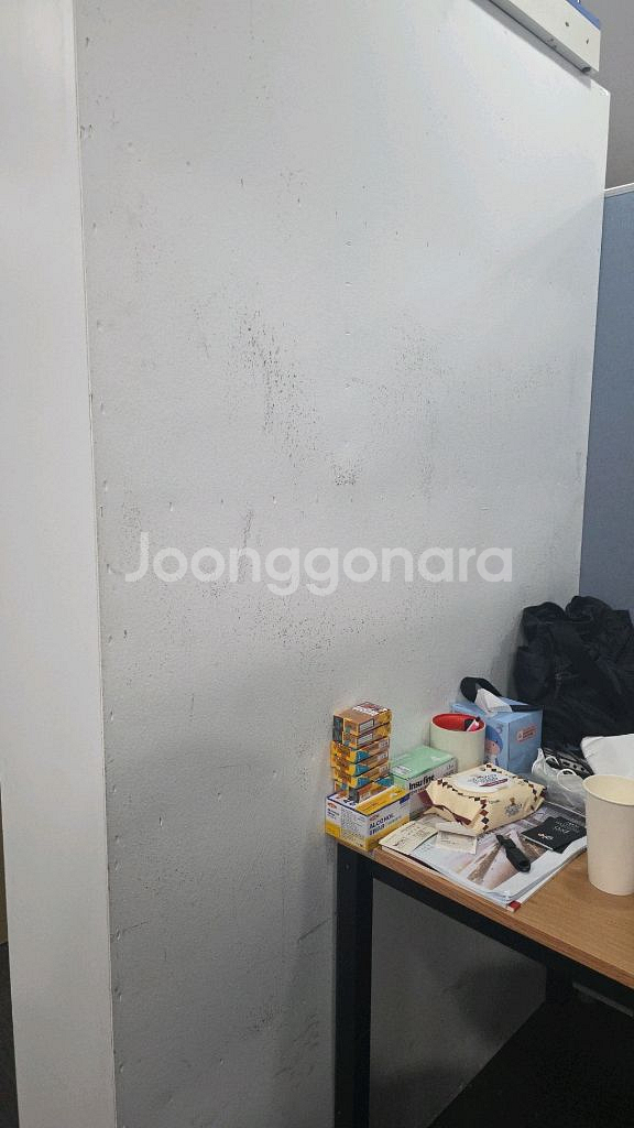 책장--1