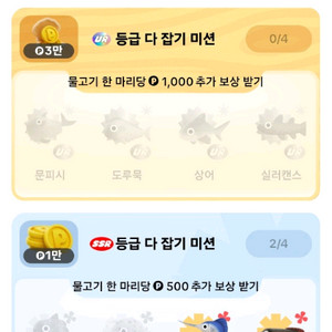 문피시,상어,실러캔스
