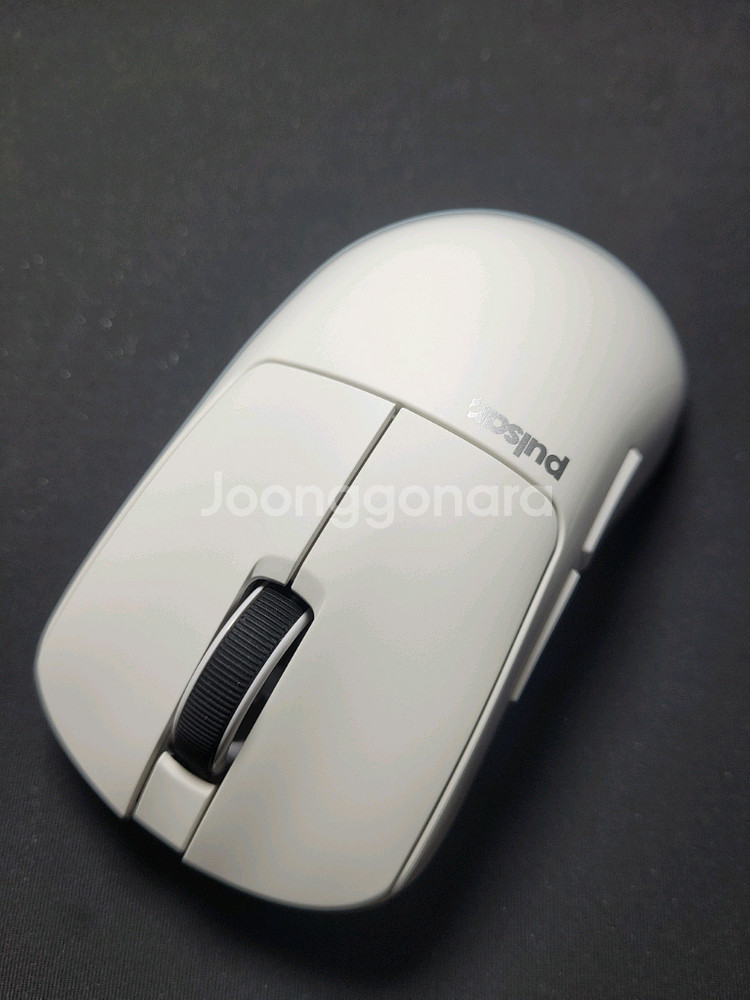 펄사 xlite v4 라지--2