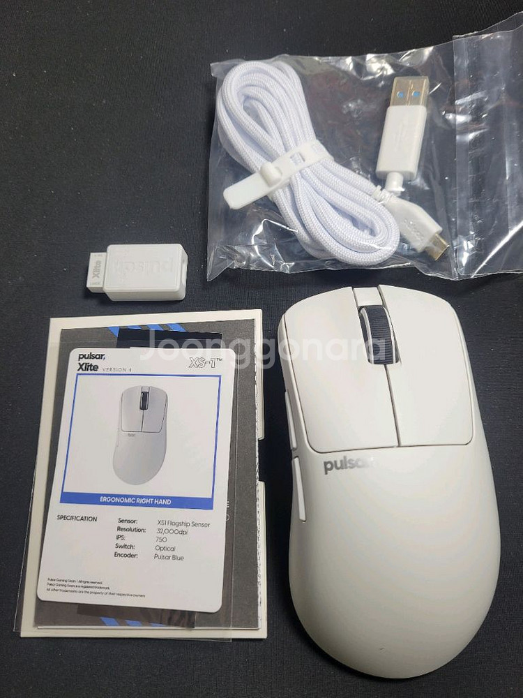 펄사 xlite v4 라지--6