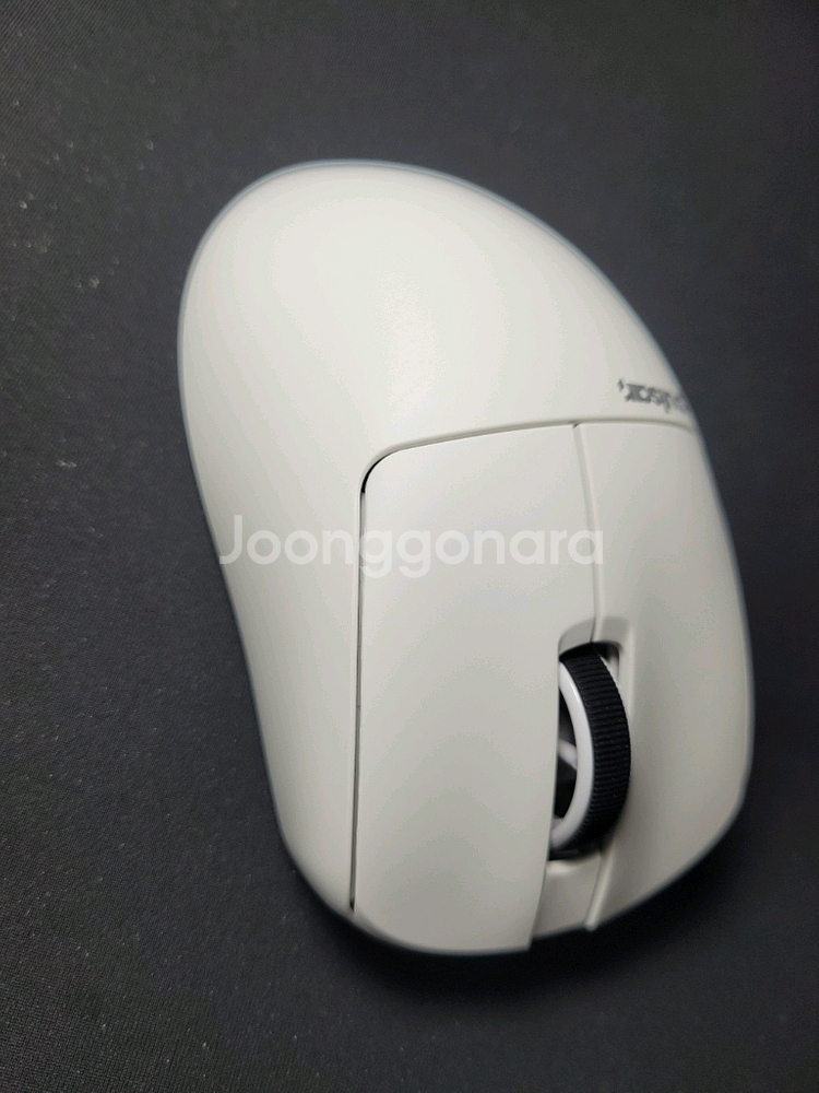 펄사 xlite v4 라지--4