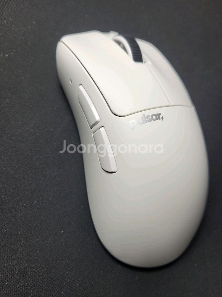 펄사 xlite v4 라지--5