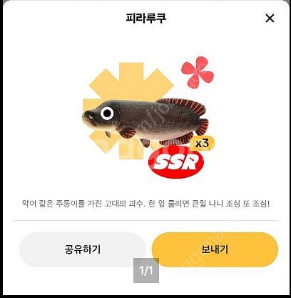 틱톡라이트 렌턴피시, 피라루쿠 판매--0