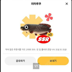 틱톡라이트 렌턴피시, 피라루쿠 판매
