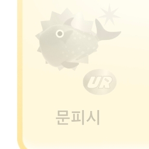 틱톡 문피시 삽니다. 가격제시