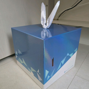 블루 아카이브 S24U 에디션