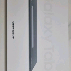 갤럭시탭 s10 플러스 wifi 256gb