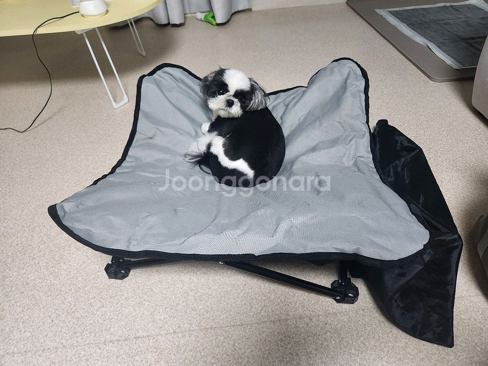 강아지 캠핑 해먹의자 팝니다--0