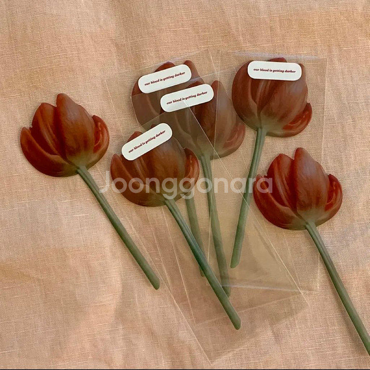 이옥토 튤립 책갈피 판매--0