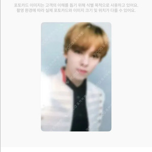 세븐틴 아이디얼컷 캐럿존 포카 버논 포카