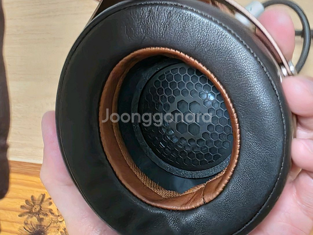 focal 포칼 스텔리아 + ifi 그리폰 프로 팩--3