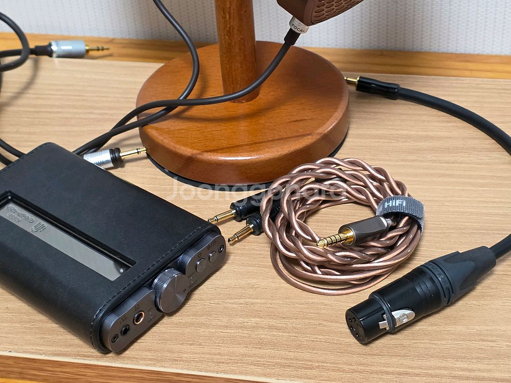 focal 포칼 스텔리아 + ifi 그리폰 프로 팩--4