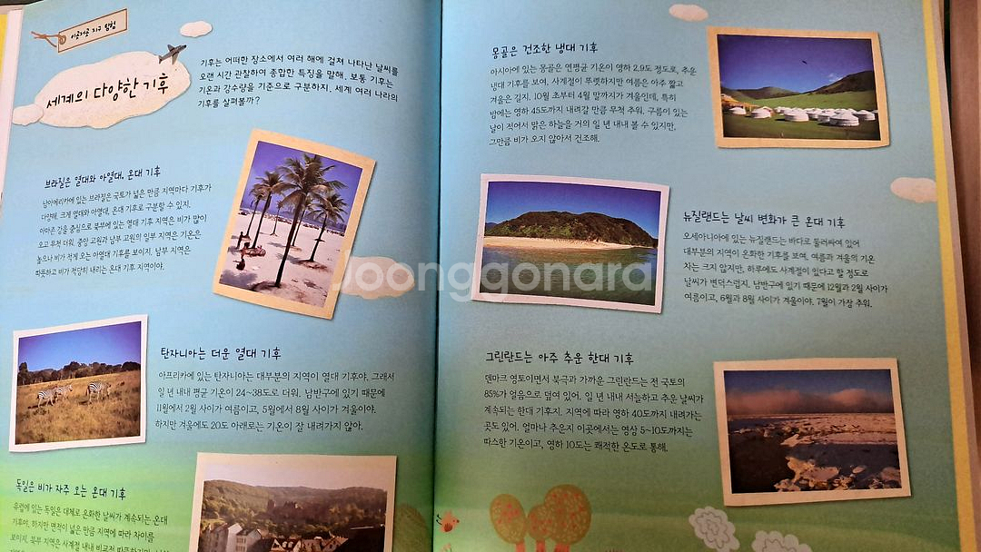 웅진 원리가 보이는 사회--1