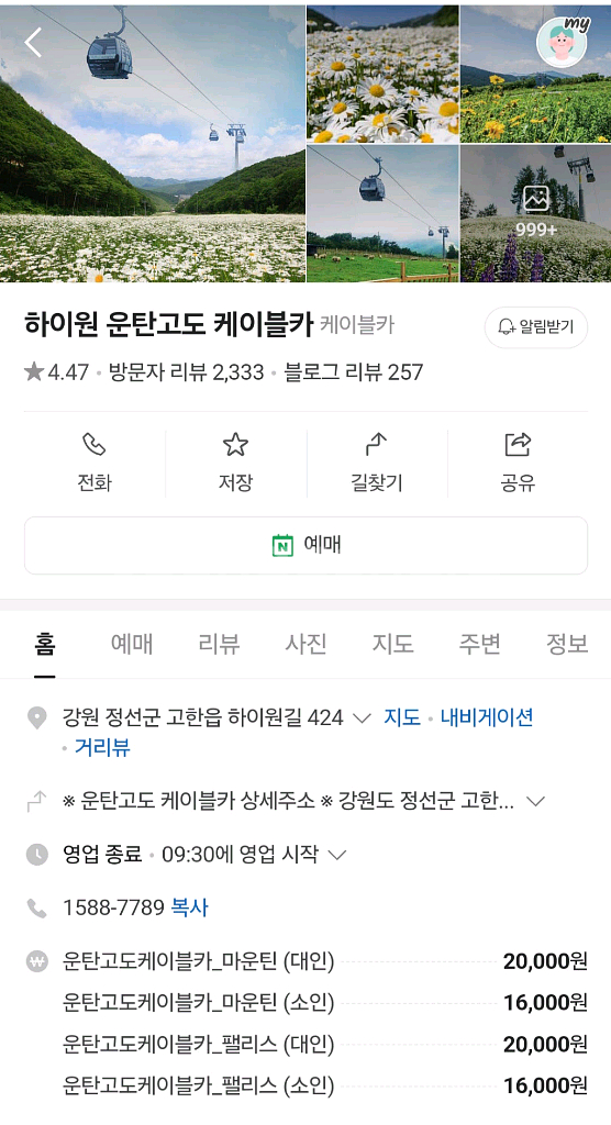 하이원리조트운단고도케이블카이용권--0