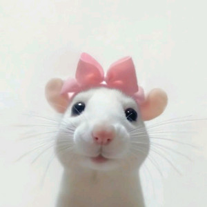 던파 바칼서버 초S급 닉네임 판매합니다