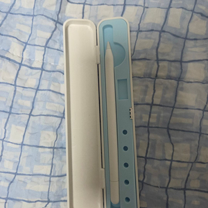 애플펜슬 USB-C 모델입니다.