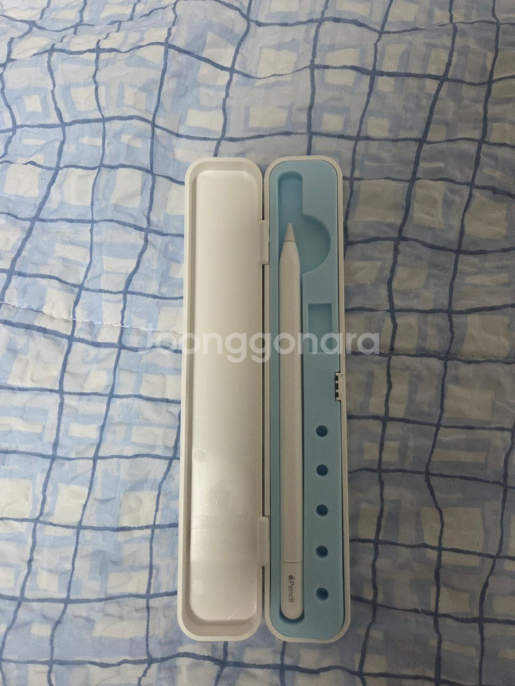 애플펜슬 USB-C 모델입니다.--1