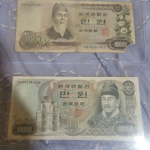 1차 2차 만원지폐 일괄