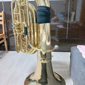 튜바