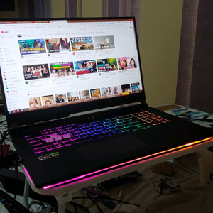 ASUS ROG STRIX G17 게이밍노트북