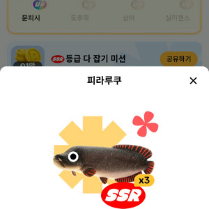 틱톡낚시이벤트 피라루쿠판매 댓글달아주세요