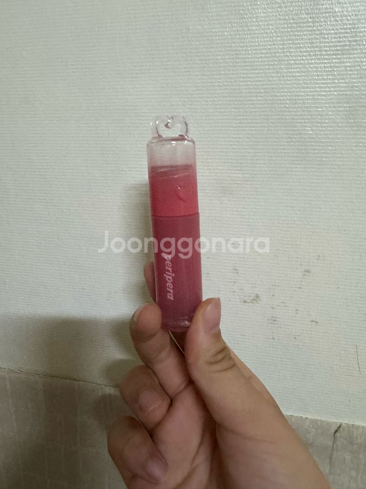 페리페라 딘토--1