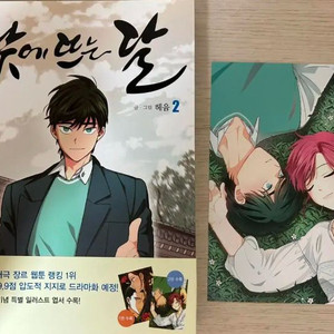 낮에뜨는달 단행본 (일러스트 포함)