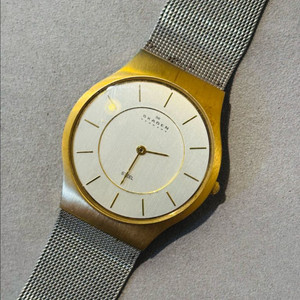 덴마크 Skagen 쿼츠 시계