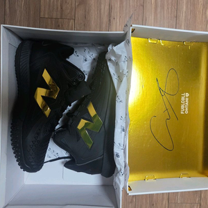 오타니 인조잔디화