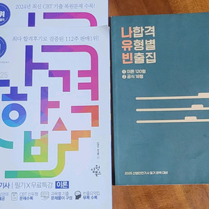 나합격 2025 산업안전기사 필기