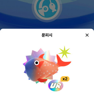 틱톡 낚시원정대 문피쉬 지금 팝니다