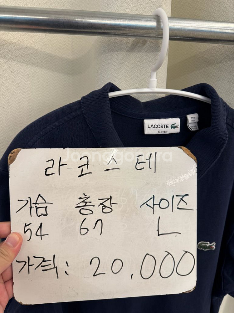 라코스테 반팔 카라티 L--1
