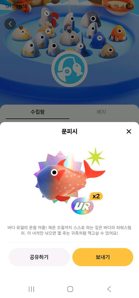 틱톡 낚시원정대 문피쉬 지금 팝니다--1