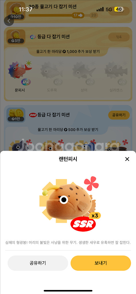 틱톡판매--3
