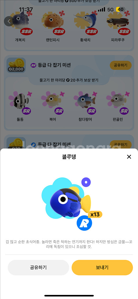 틱톡판매--6