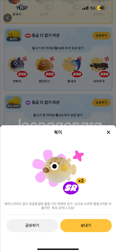 틱톡판매--4