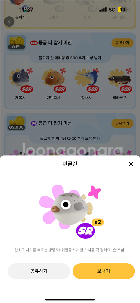 틱톡판매--5