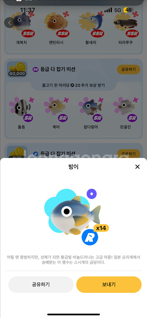 틱톡판매--7
