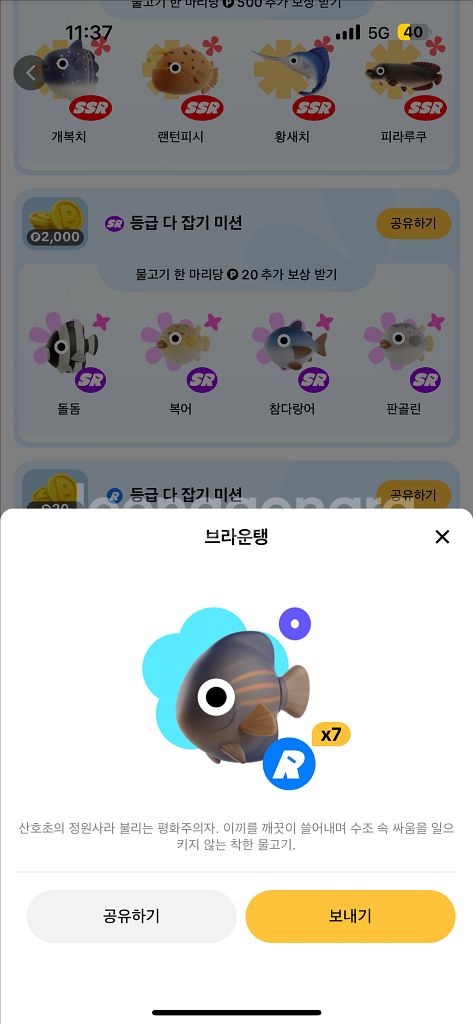 틱톡판매--9