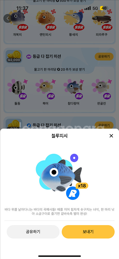 틱톡판매--8