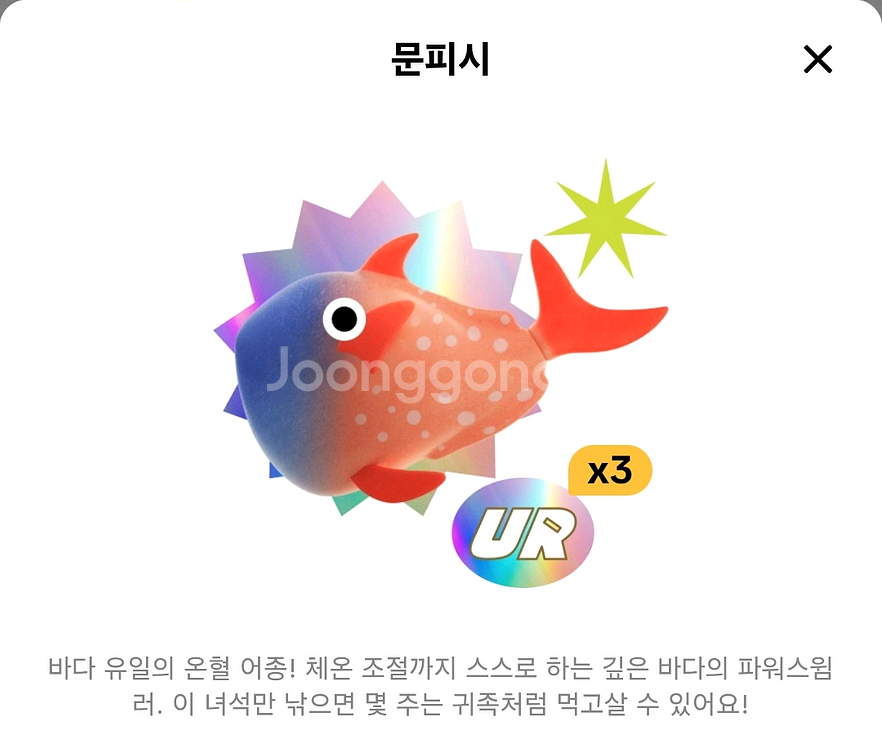 문피시--0