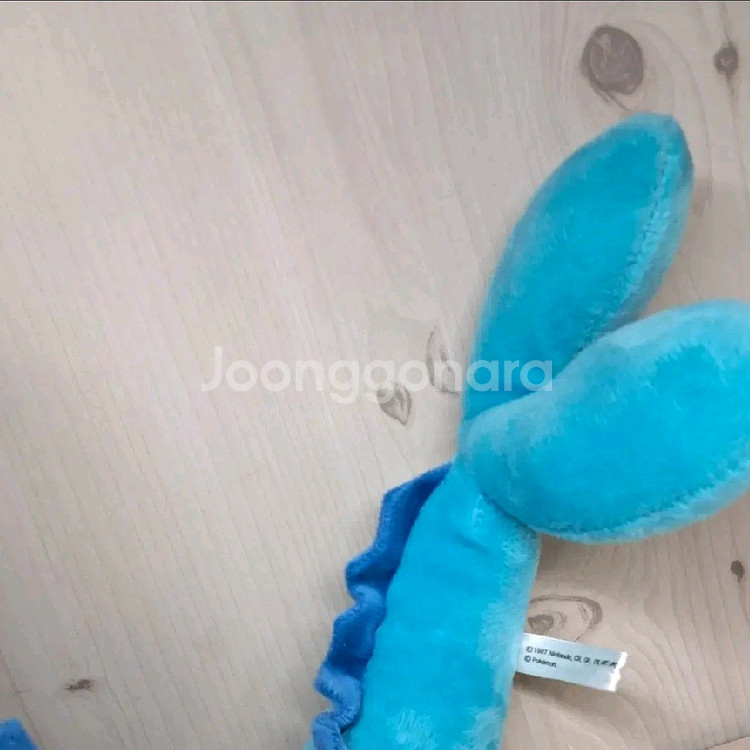 포켓몬 샤미드 인형--1