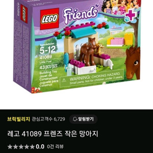 레고 프렌즈-작은망아지(41089)
