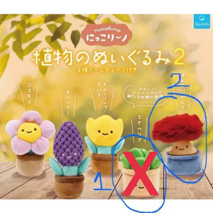 (새상품) 웃는 얼굴의 다육 식물 인형 - 2번