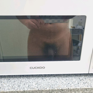 전자레인지