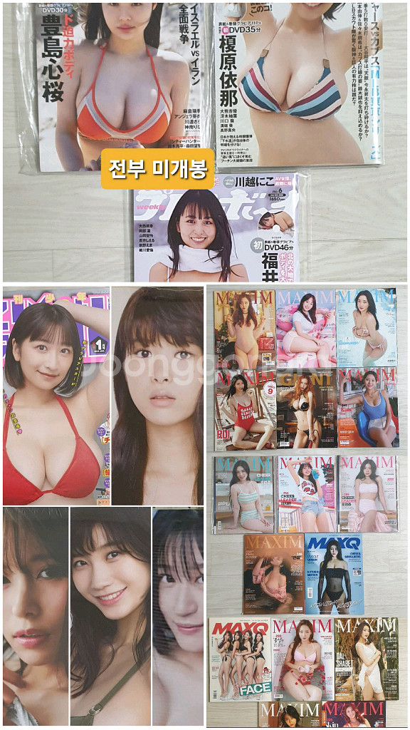 맥심/맥스큐/일본 화보집.잡지 등--0
