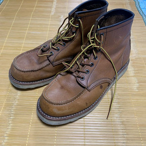 255) Hawkins 호킨스 워커