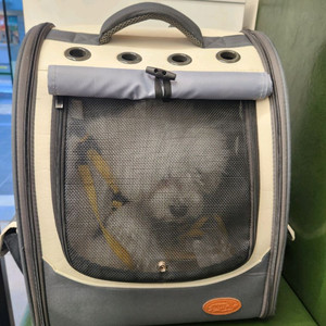 강아지 전용 가방